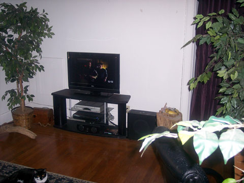 523 Oak